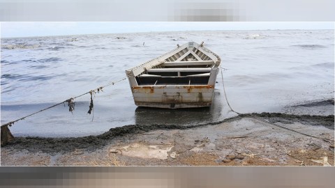 Xəzər dənizinin əsas çirklənmə səbəbləri açıqlandı