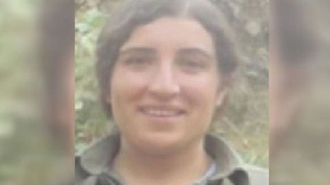 Türkiyə təhlükəli terrorçunu məhv etdi - FOTO