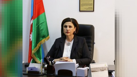 Afaq Məsud dünya yazıçılarına müraciət etdi