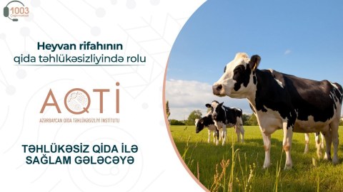 Heyvan rifahının qida təhlükəsizliyində rolu