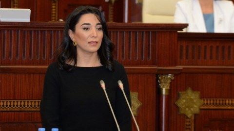 Ombudsman beynəlxalq təşkilatlara müraciət etdi
