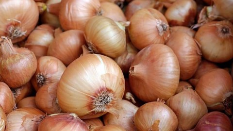 Qazaxıstandan gətirilən 650 ton soğan yararsız çıxdı