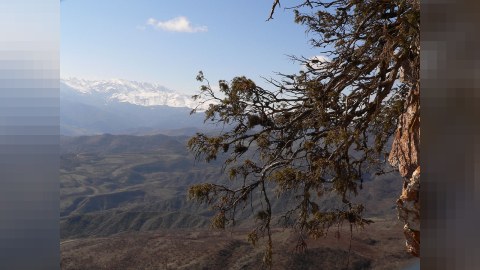 Zəngəzur və ermənilərin iç üzü dünyanın gözü ilə