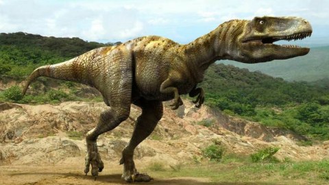 4 yaşlı qız 200 milyon il yaşı olan dinozavrın izini tapdı