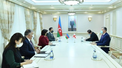 Sahibə Qafarova Gürcüstan səfiri ilə görüşüb