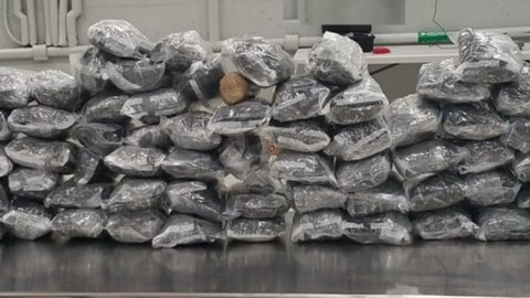 Meksikada 90 milyon dollarlıq narkotik müsadirə olundu
