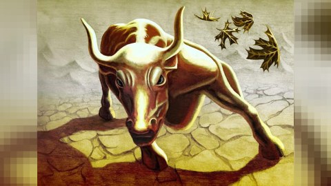 Bu gündən “Öküz ili” başladı - “Güclü və haqlı olanlar qalib gələcək” - Astroloq
