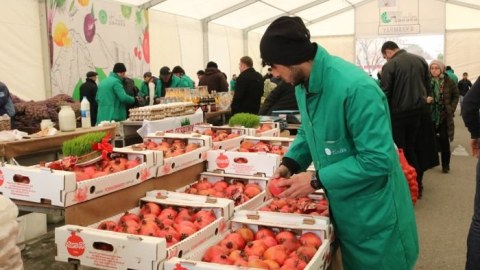 Bu ərazilərdə “Kənddən şəhərə” yarmarkası başlanır - ÜNVANLAR