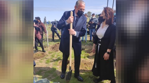 Jurnalistlər ağacəkmə aksiyasına qoşuldu - FOTOLAR