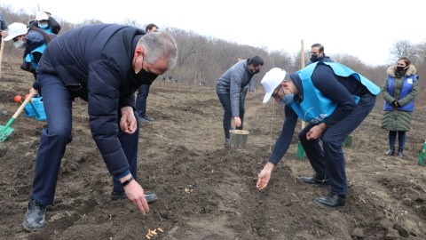 21 mart - Beynəlxalq meşələr günüdür