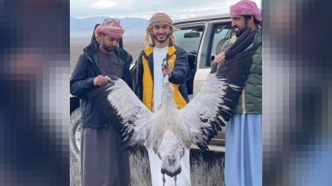 Ərəb turistlər Azərbaycan təbiətinə növbəti dəfə ZƏRBƏ VURDULAR - FOTO  