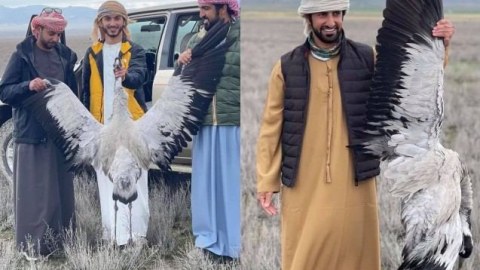 Azərbaycanda nadir quşları ovlayan ərəb turistlər 4000 manat CƏRİMƏLƏNDİ