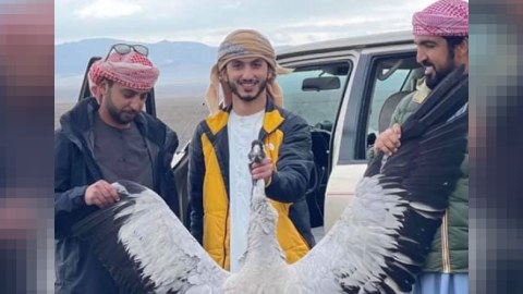 Qanunsuz ova görə cərimələnən ərəblərin adları AÇIQLANDI