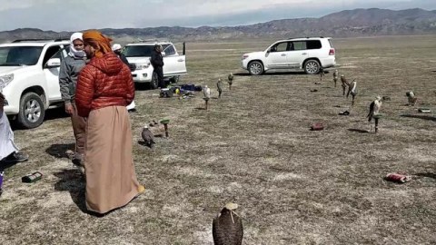 Nazirlik ərəblərin qanunsuz əməlləri ilə bağlı araşdırmalara BAŞLADI
