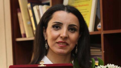 Jurnalist yazılarında mövqeyini bildirməməlidir - Ekspert  