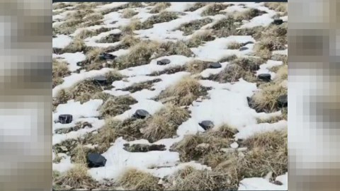 Ombudsman Kəlbəcərdəki bu dəhşətli mənzərə ilə bağlı məlumat yaydı - FOTO