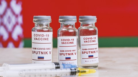 Azərbaycanda Rusiya peyvəndinin tətbiqinə başlanılır