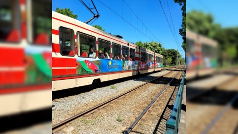 Haaqada Azərbaycanı reklam edən tramvay üç ay dolaşacaq 