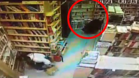 Bakıda kitab oğruları saxlanıldı - VİDEO