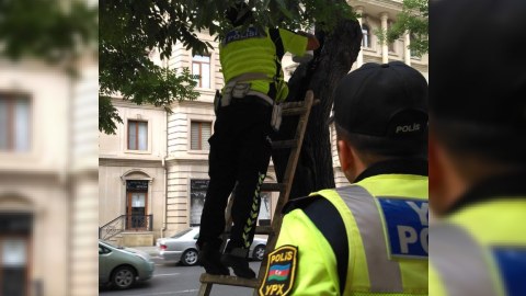 Peşə bayramı günü xidmət aparan polislərdən nəcib hərəkət