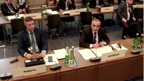 ATƏT Parlament Assambleyasında Azərbaycandan Türkiyəyə dəstək