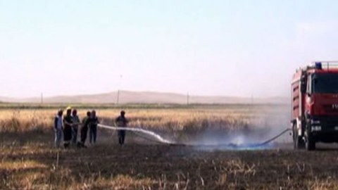 Nazirlik Ermənistan-Azərbaycan sərhədində baş verən yanğınla bağlı məlumat yaydı