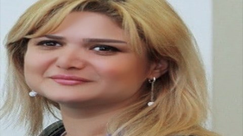 Mediaya dövlət dəstəyini hansı səbəblər zəruri edir?