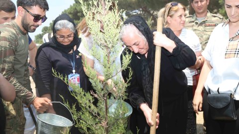 Polad Həşimovun xatirəsinə həsr olunmuş ağacəkmə aksiyası keçirildi