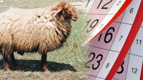 Azərbaycanda Qurban kəsmək üç gün davam edəcək