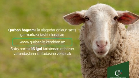 Qurban bayramına görə onlayn satış yarmarkası təşkil olunacaq - Ünvanlar