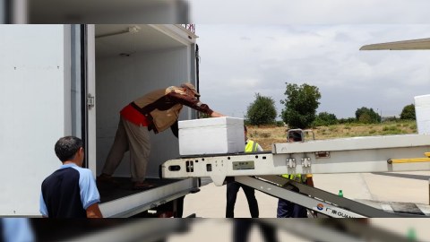 Azərbaycan Tacikistana 40 min doza vaksin göndərdi 
