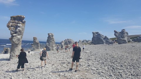 İsveç savannasına səyahət: Qotlanddan REPORTAJ