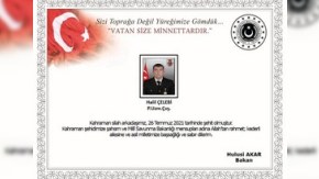 Türkiyə İraqda şəhid verdi - FOTO