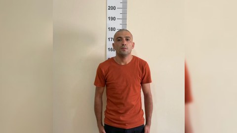 İribuynuzlu heyvan oğruları saxlanılıb - FOTO