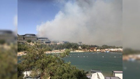Bodrumda yanğına görə minlərlə insan təxliyə olundu