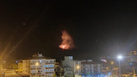 Türkiyənin daha bir bölgəsində meşə yanğını başladı - FOTO
