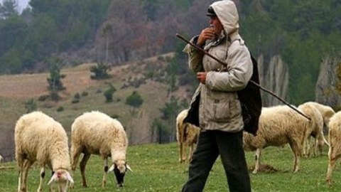 Çoban fermeri ÖLDÜRDÜ