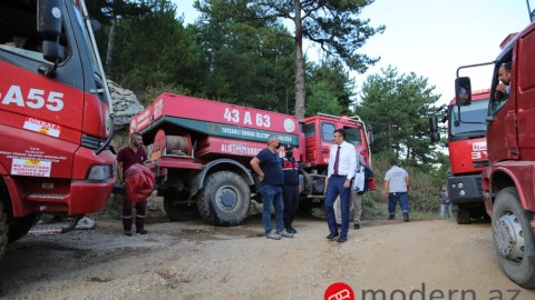 Türkiyədə meşə yanğınları: “Təxribat ehtimalının olmadığını düşünürük”