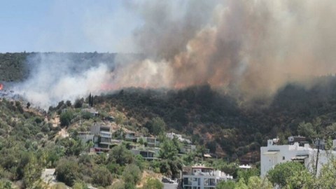 Bodrumda daha bir meşə yanğını