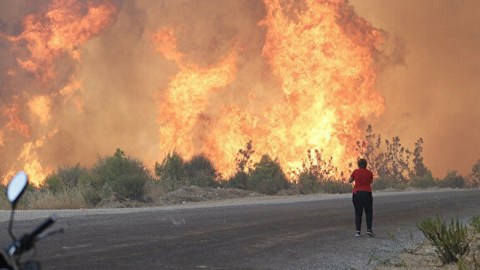 Türkiyədəki yanğınları törədənlər məlum oldu - FOTO