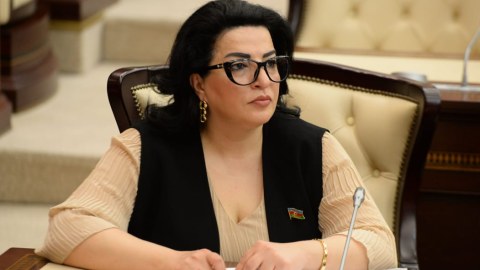 “Qələbəmiz Jirinovskini ciddi narahat edir” 