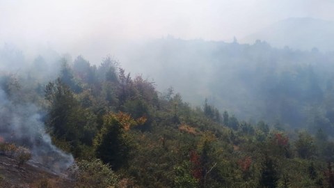 Yardımlıda meşə yanır