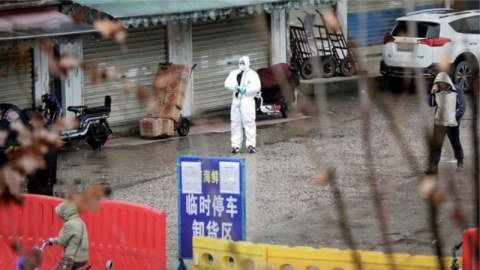 Koronavirus heyvanlar arasında geniş yayılıb  