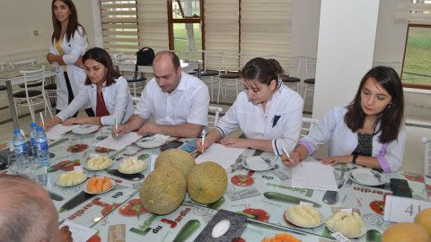 Azərbaycanda yemişin yeni sortları yaradıldı - FOTO