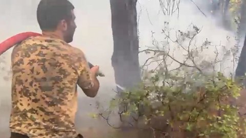 Türkiyədə yanğınlarla mübarizə davam edir - VİDEO