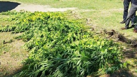 Ağdaşda əməliyyat: Saxlanılanlar var - FOTO  