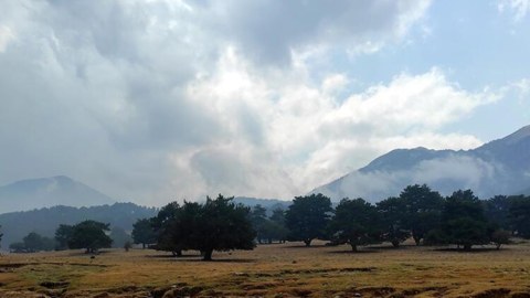 Antalyaya leysan yağır - Yanğınlar nəzarətə alındı