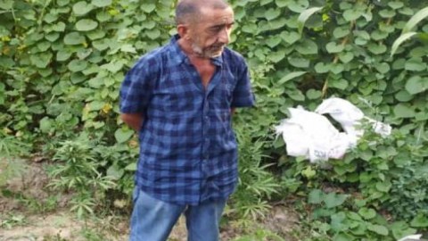 Çətənə yetişdirən Heybətovun qolları qandallandı