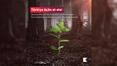 Kapital Bank meşələrin bərpası üçün Türkiyəyə dəstək göstərdi