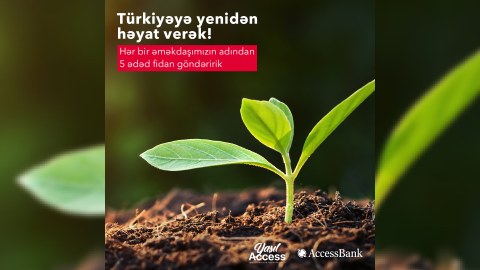 “AccessBank” Türkiyəyə 6000-dək ağac tingi bağışlayacaq